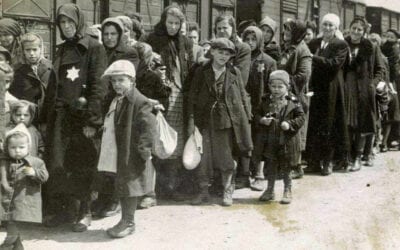 Remembering the Holocaust Through the Life of Siggi Wilzig